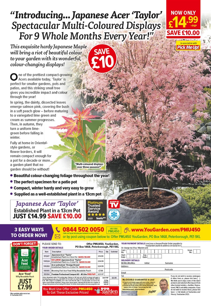 Pick Me Up Preview Pages