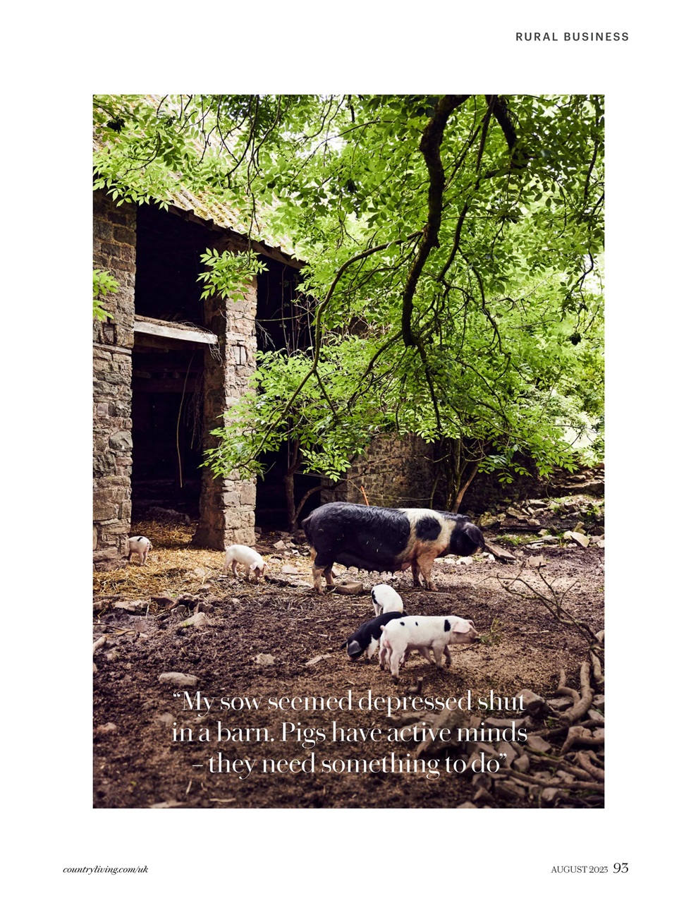Country Living Preview Pages