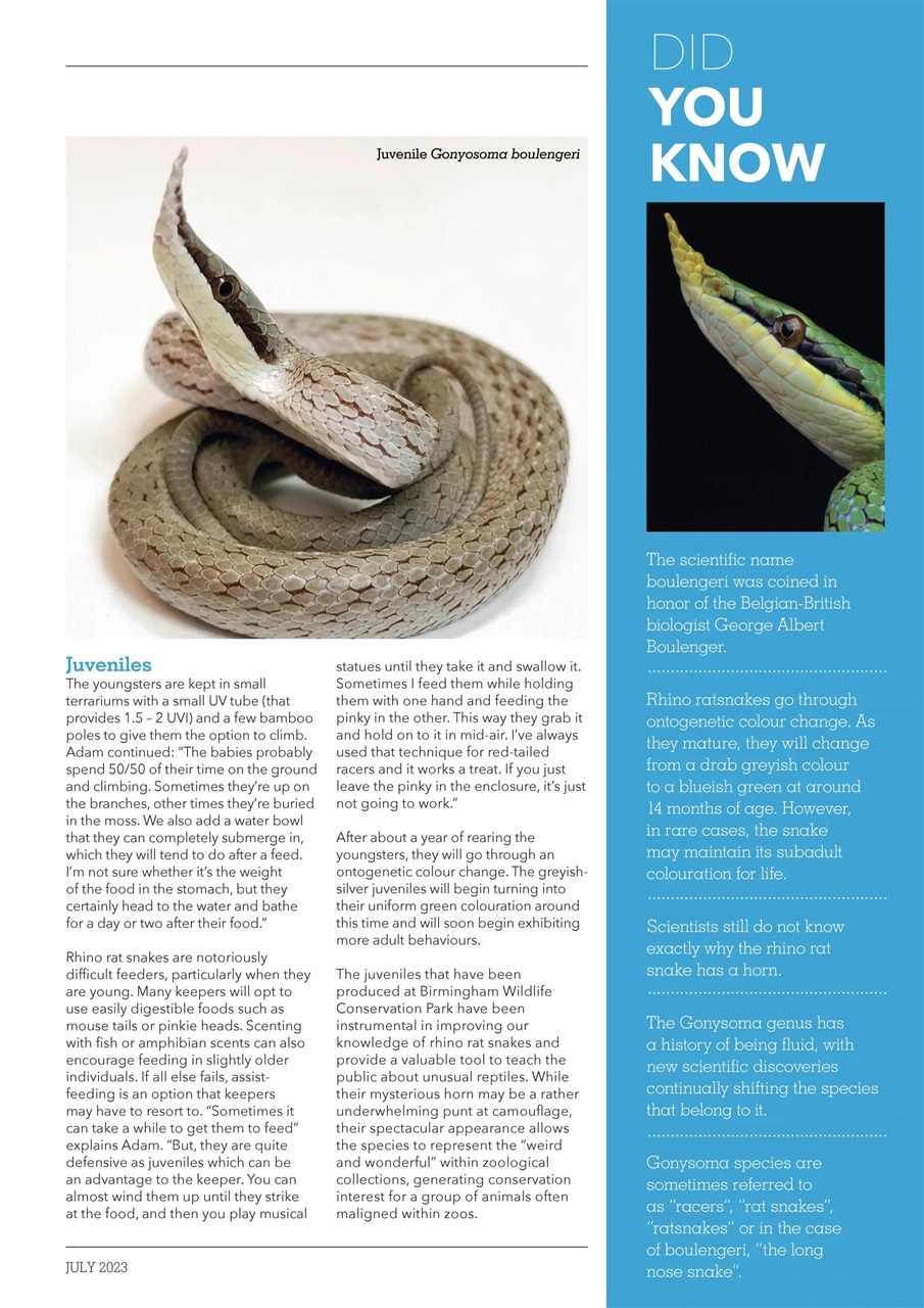 Exotics Keeper Preview Pages