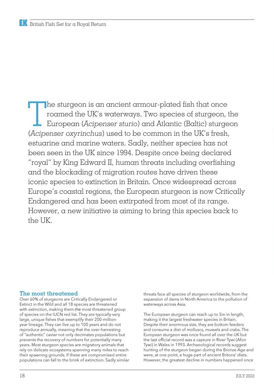 Exotics Keeper Preview Pages