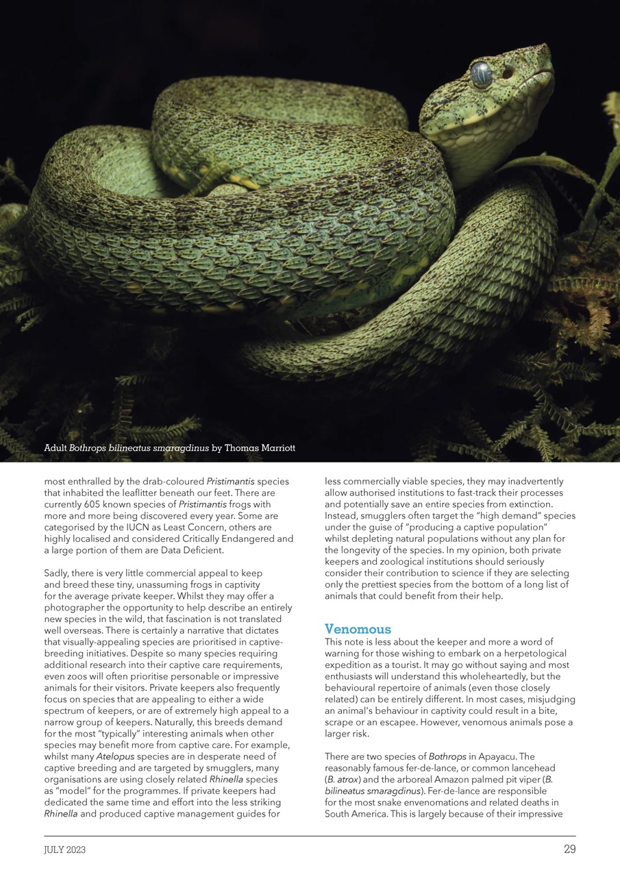 Exotics Keeper Preview Pages