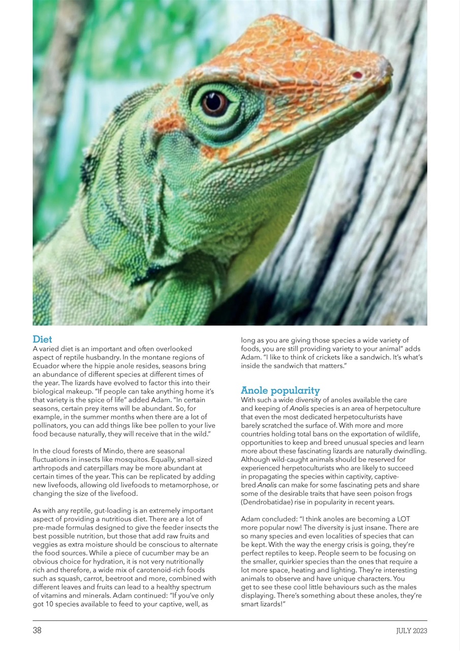 Exotics Keeper Preview Pages