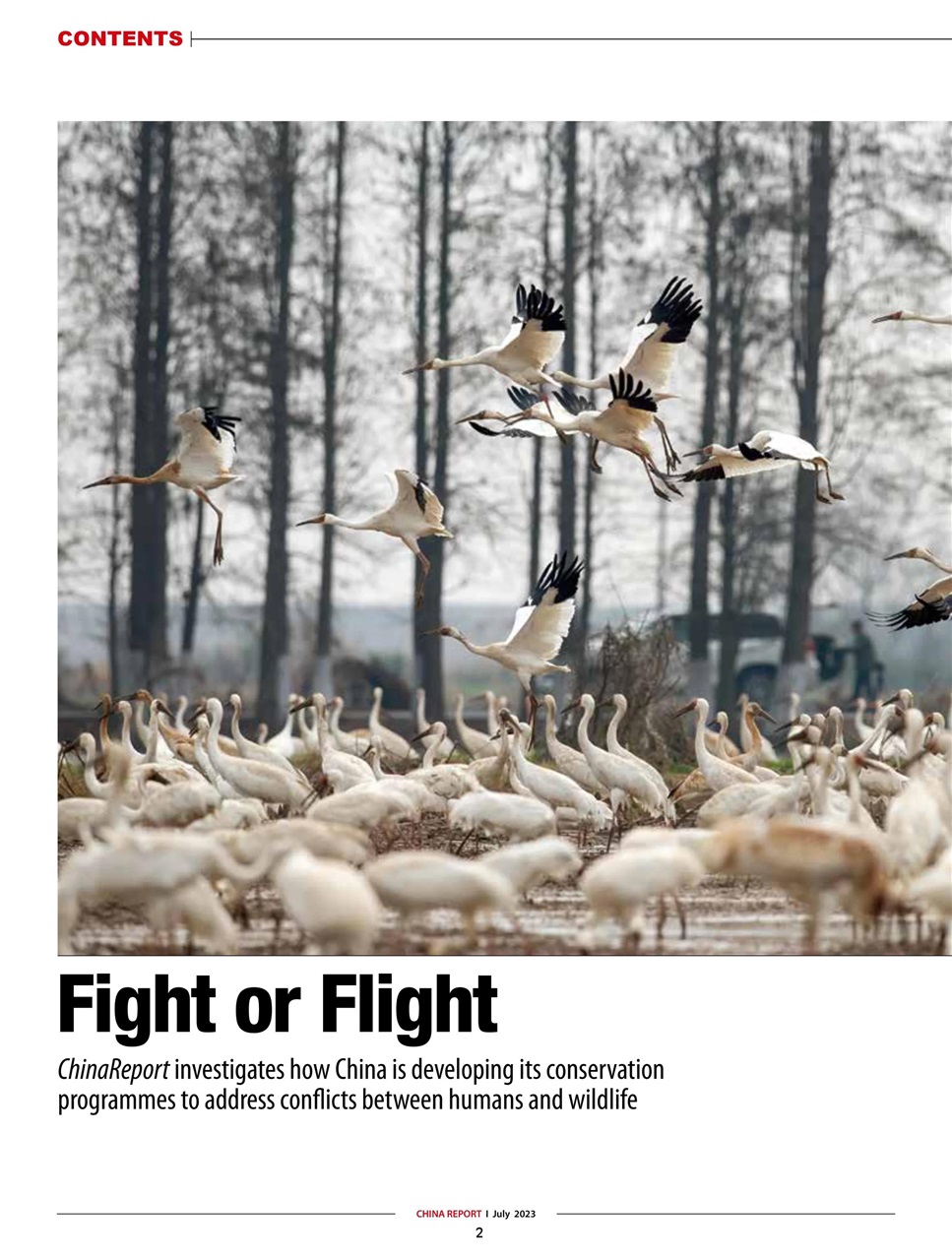 China Report Preview Pages