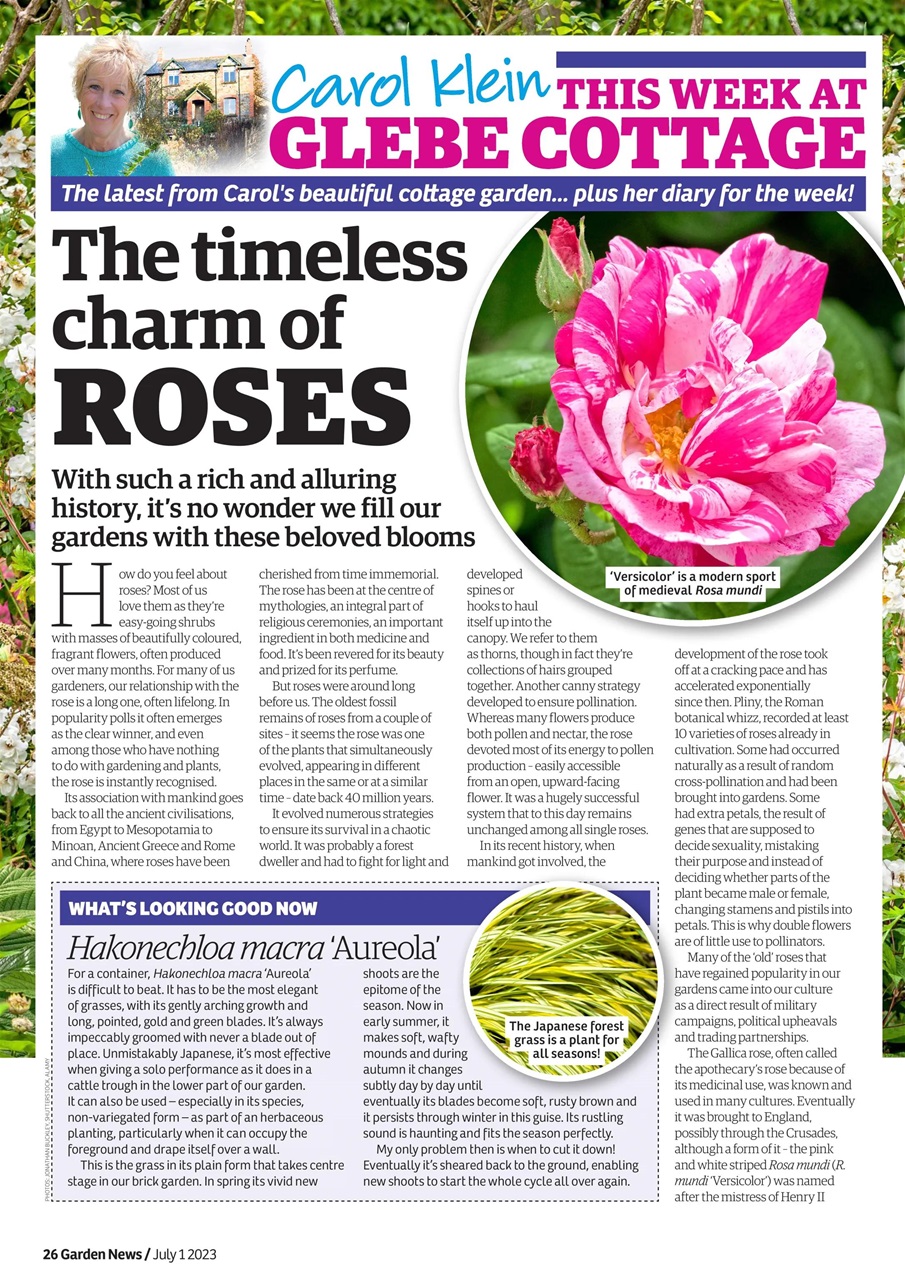 Garden News Preview Pages