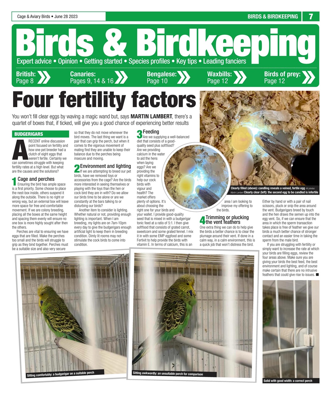 Cage & Aviary Birds Preview Pages