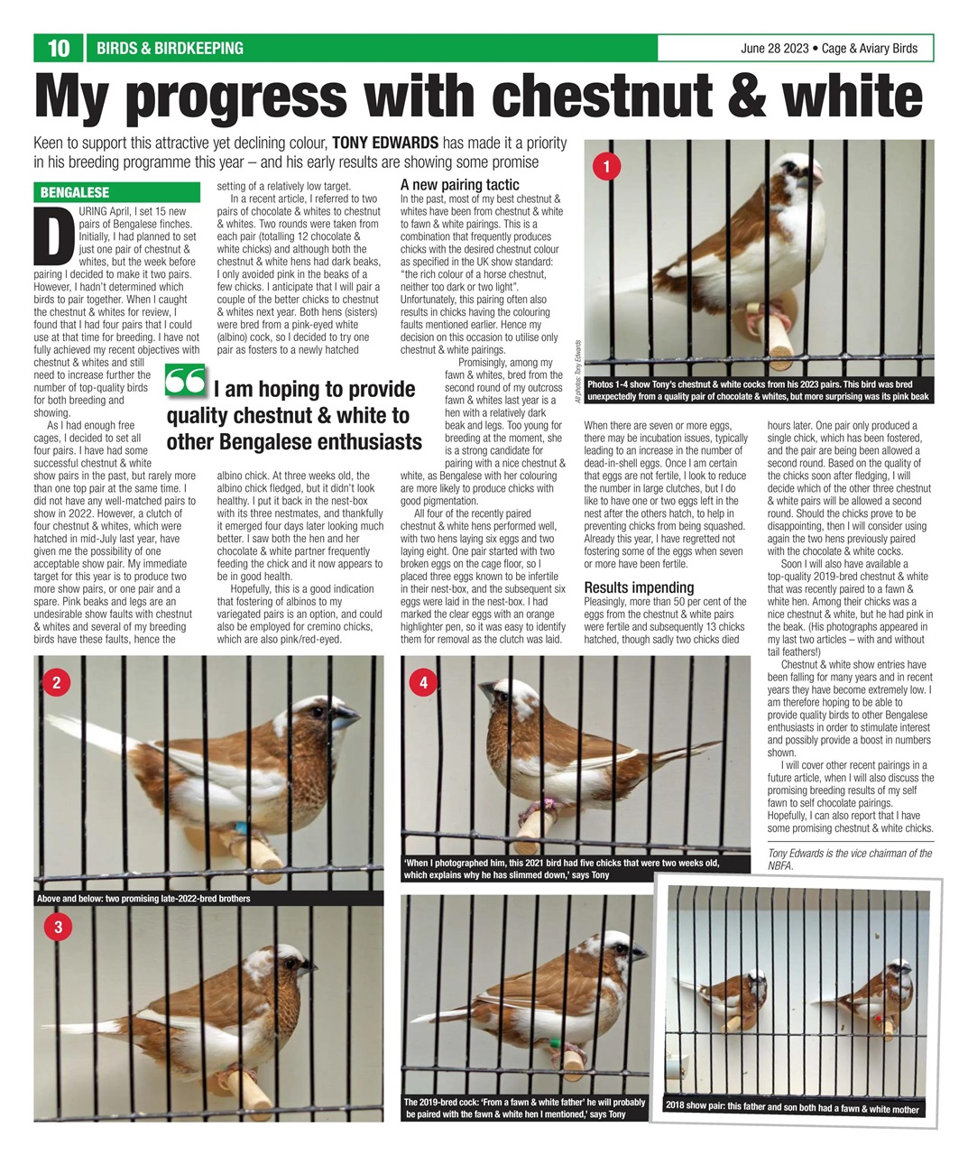 Cage & Aviary Birds Preview Pages