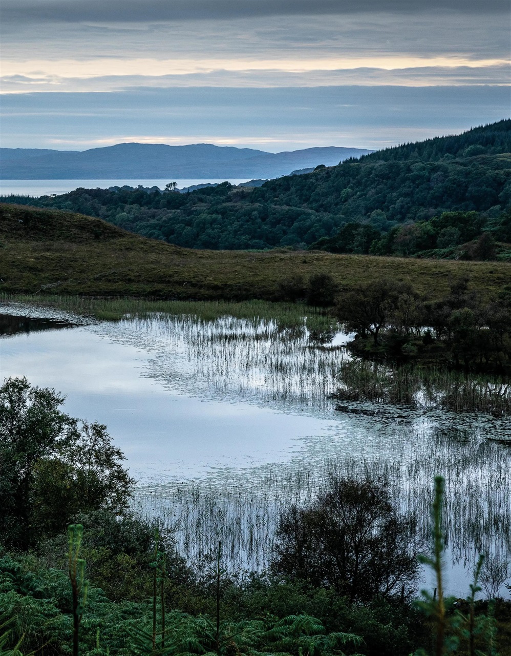 Trout & Salmon Preview Pages