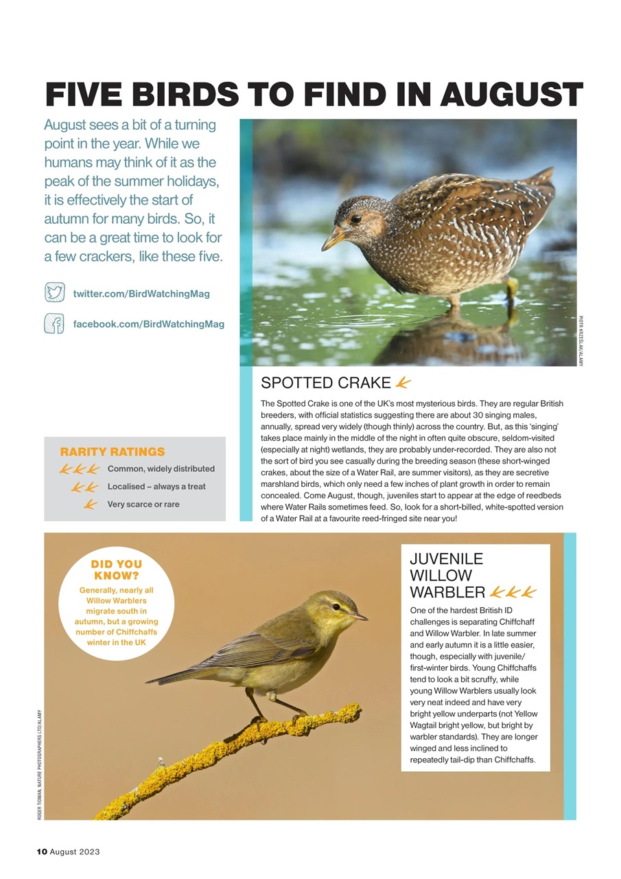 Bird Watching Preview Pages