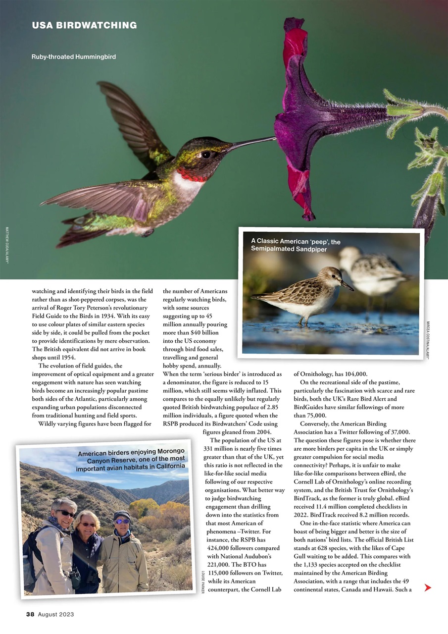 Bird Watching Preview Pages
