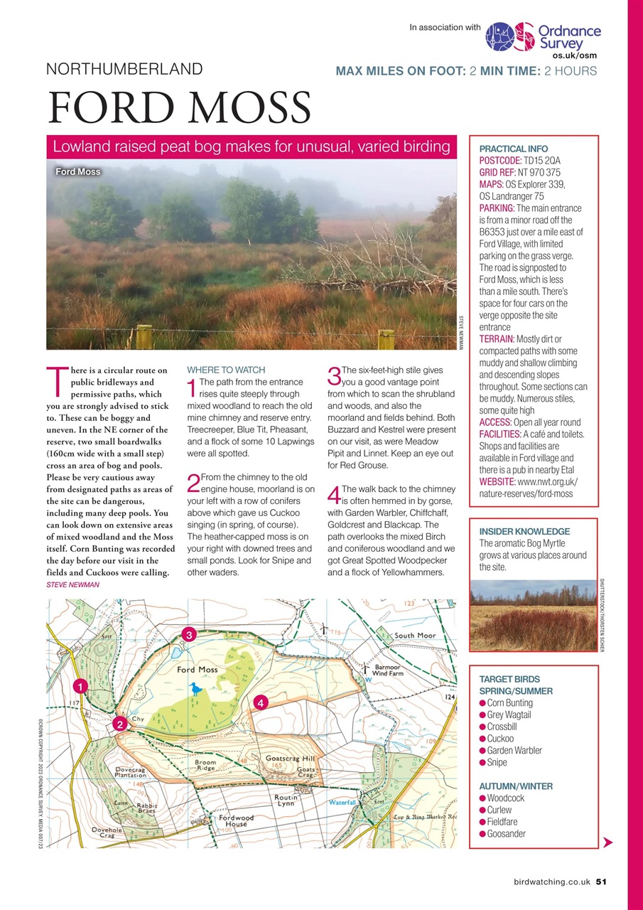 Bird Watching Preview Pages