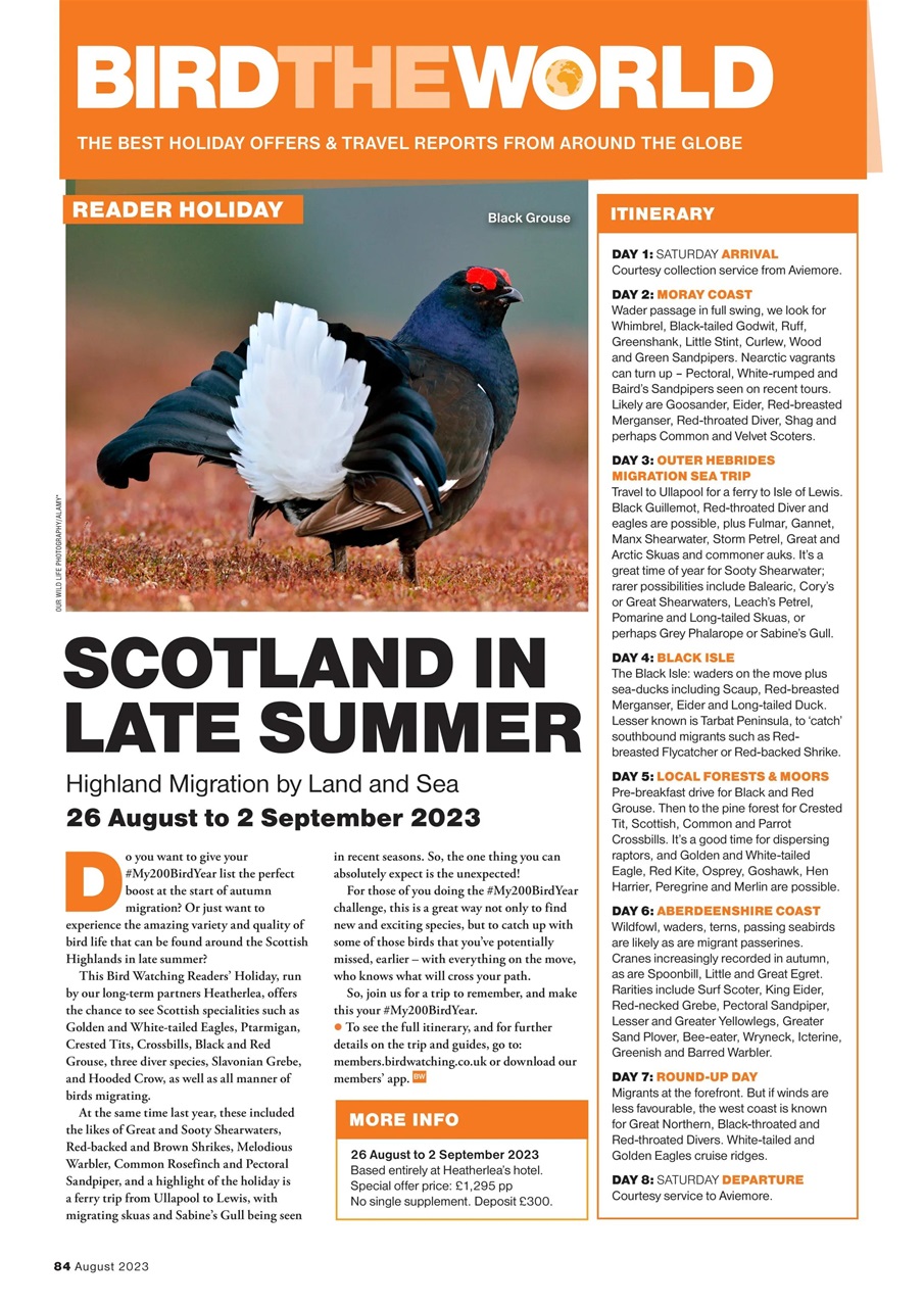 Bird Watching Preview Pages