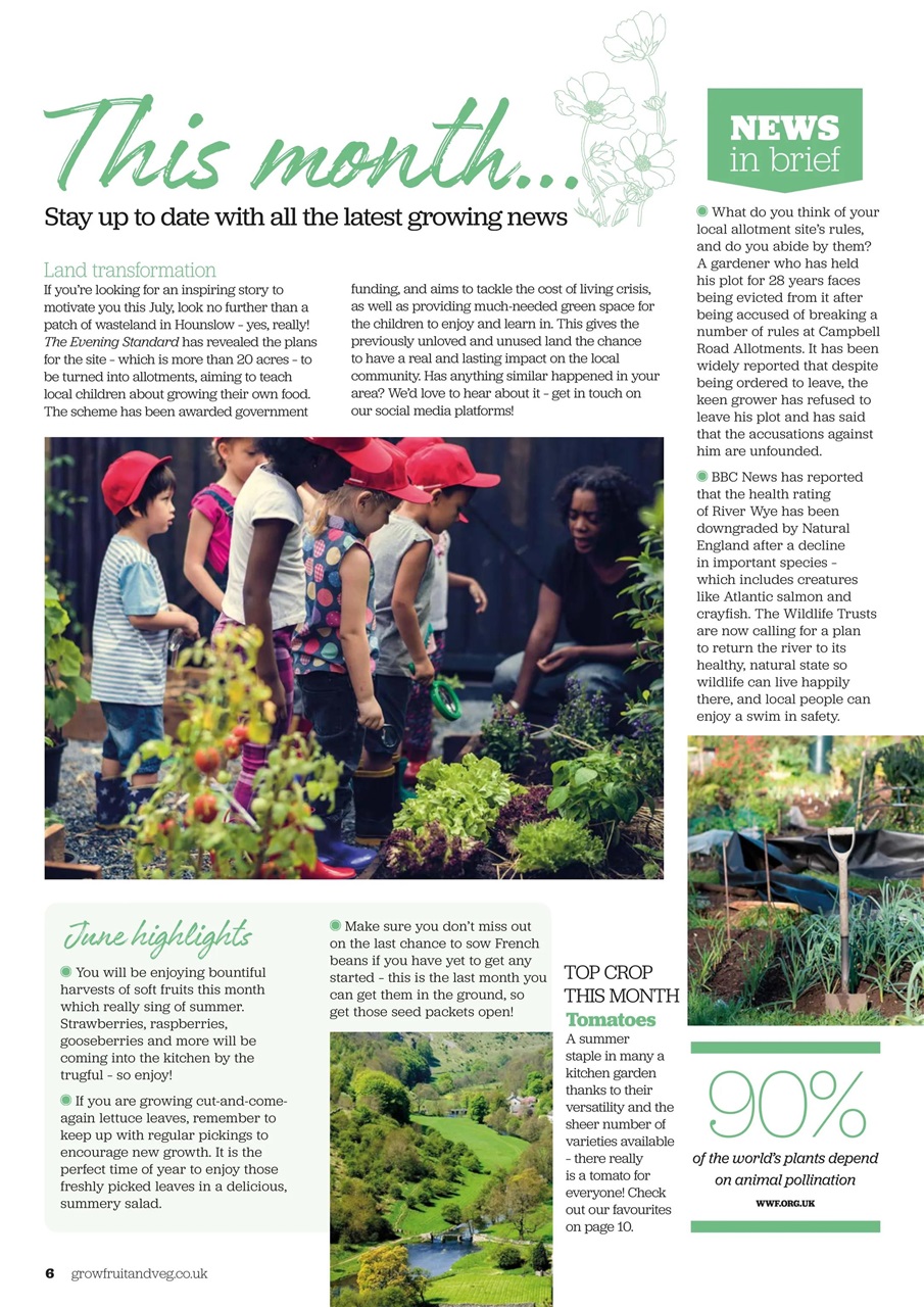 Grow Your Own Preview Pages