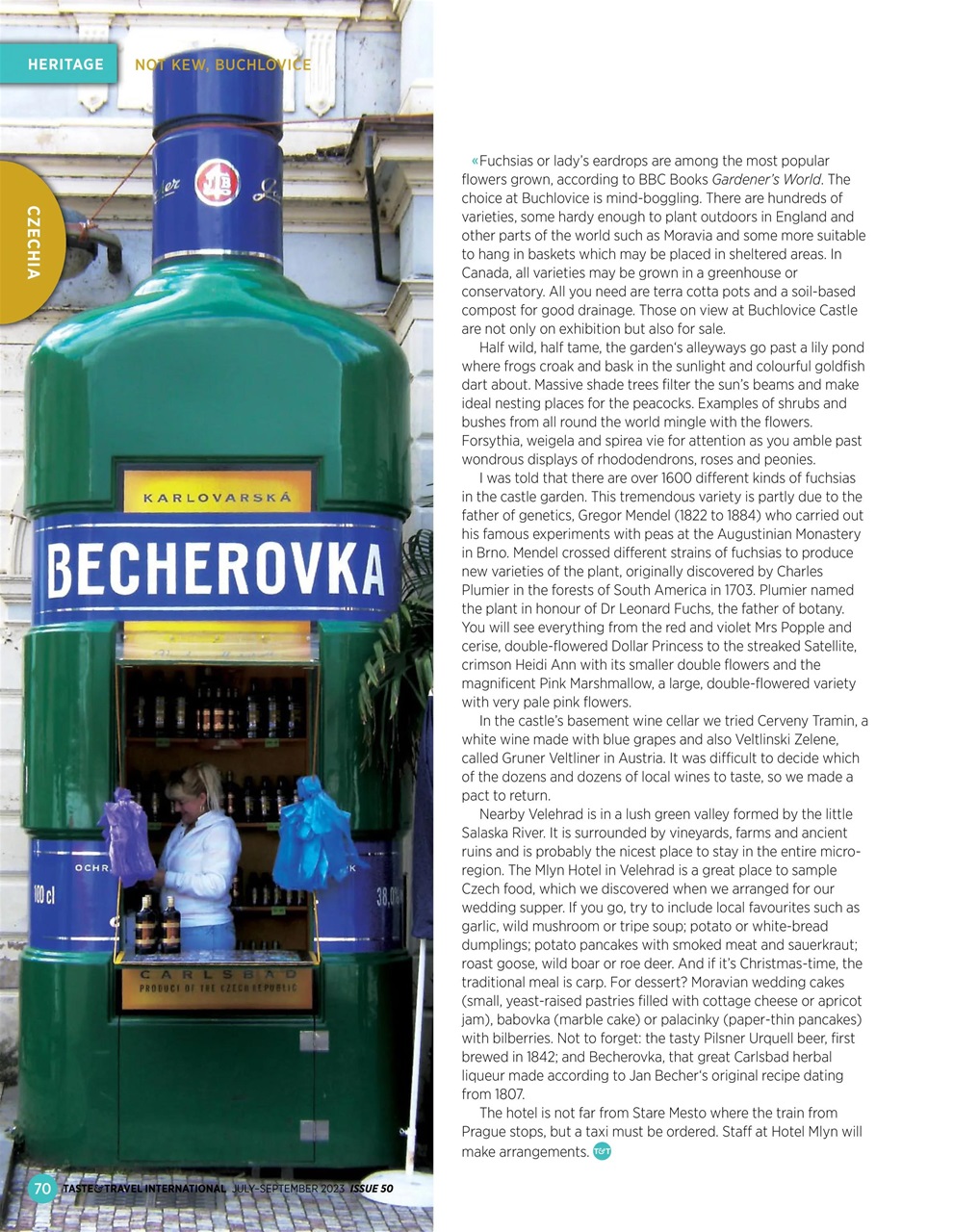 Taste & Travel International Preview Pages