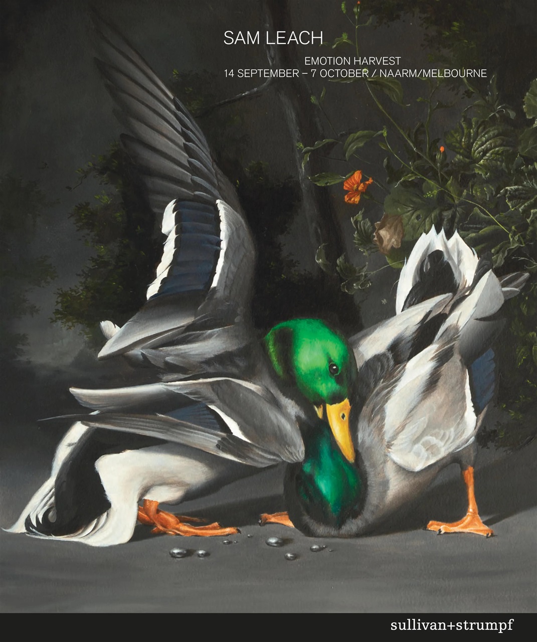 Art Collector Preview Pages