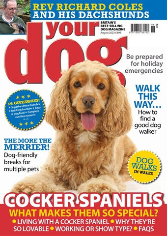 Your Dog issue August 2023