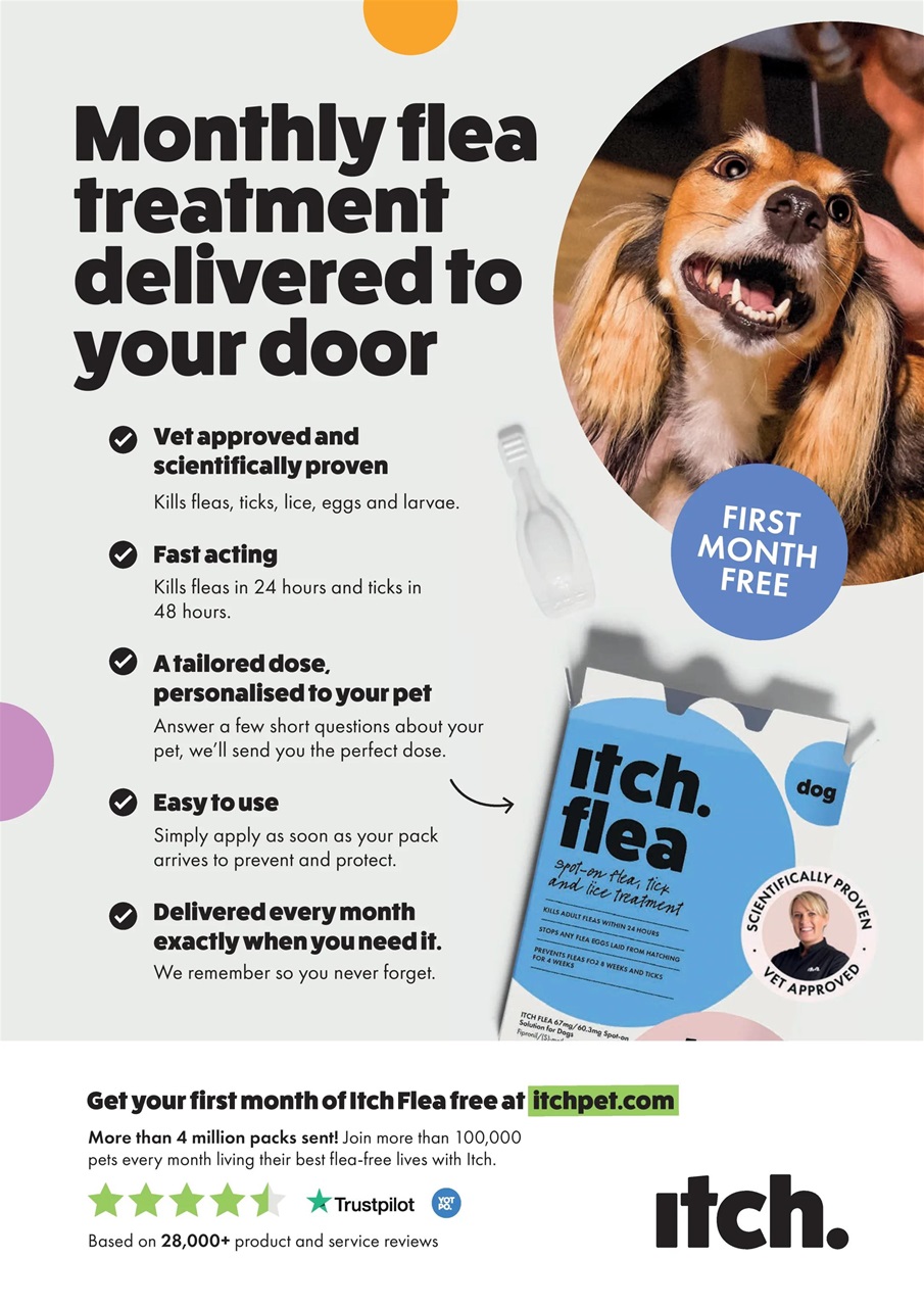 Your Dog Preview Pages