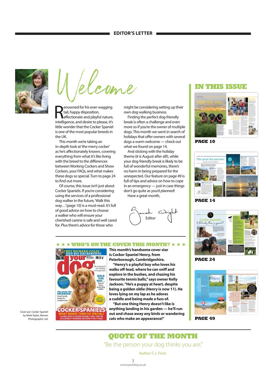 Your Dog Preview Pages