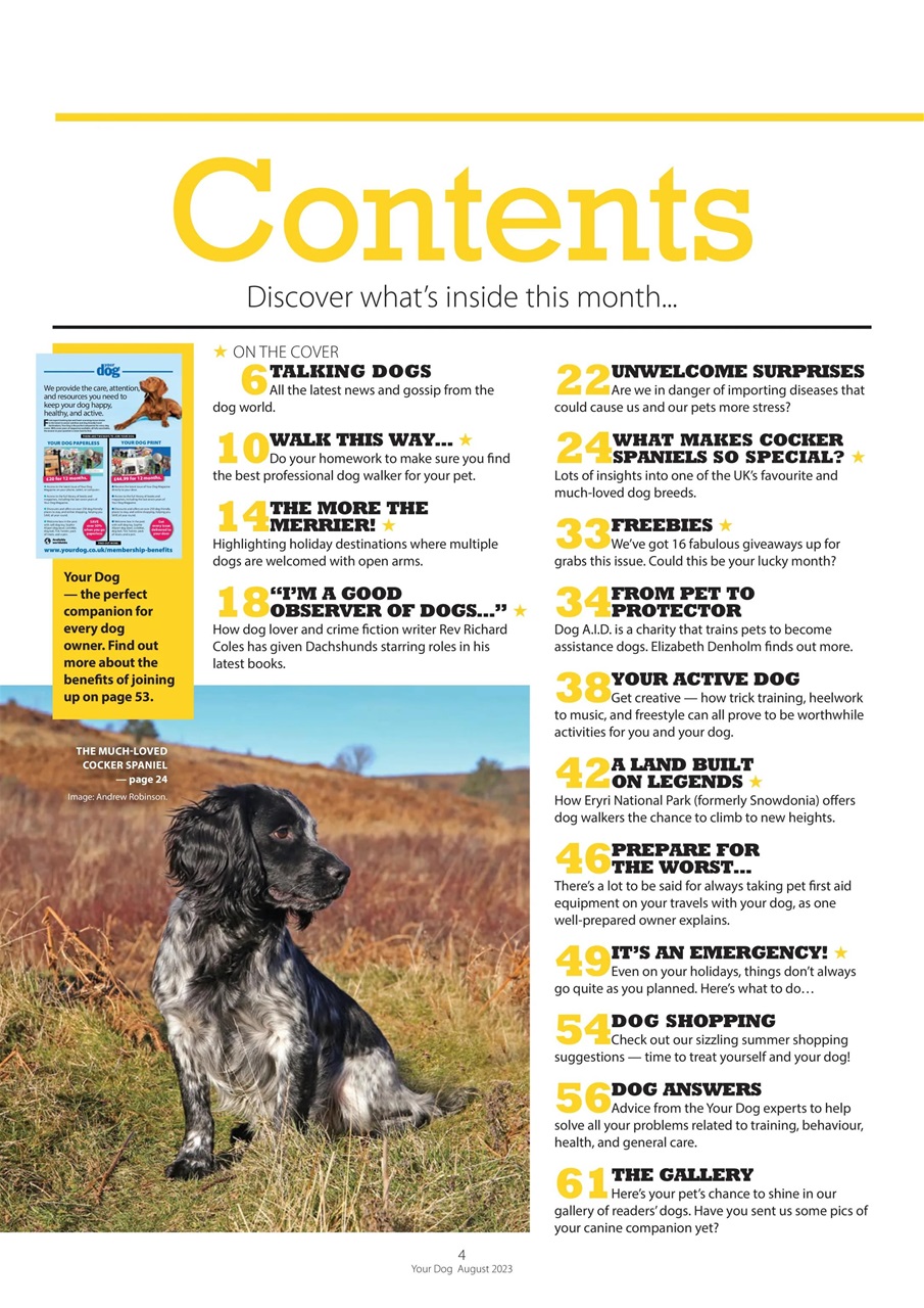 Your Dog Preview Pages