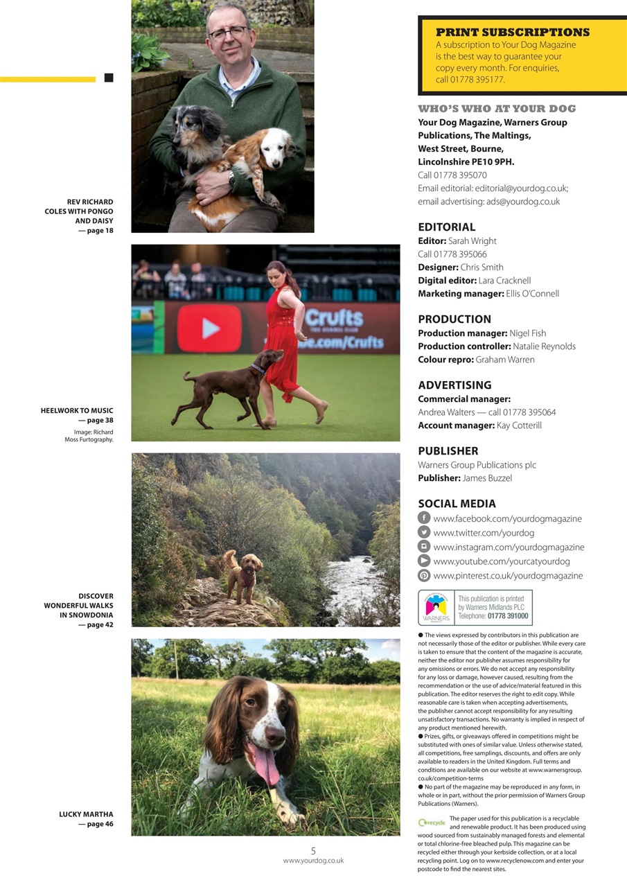Your Dog Preview Pages