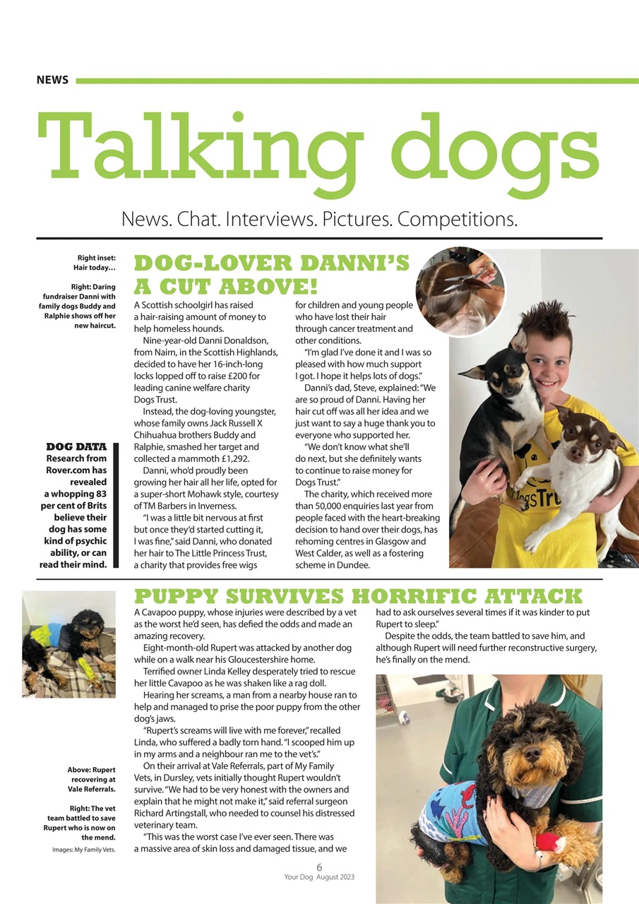 Your Dog Preview Pages