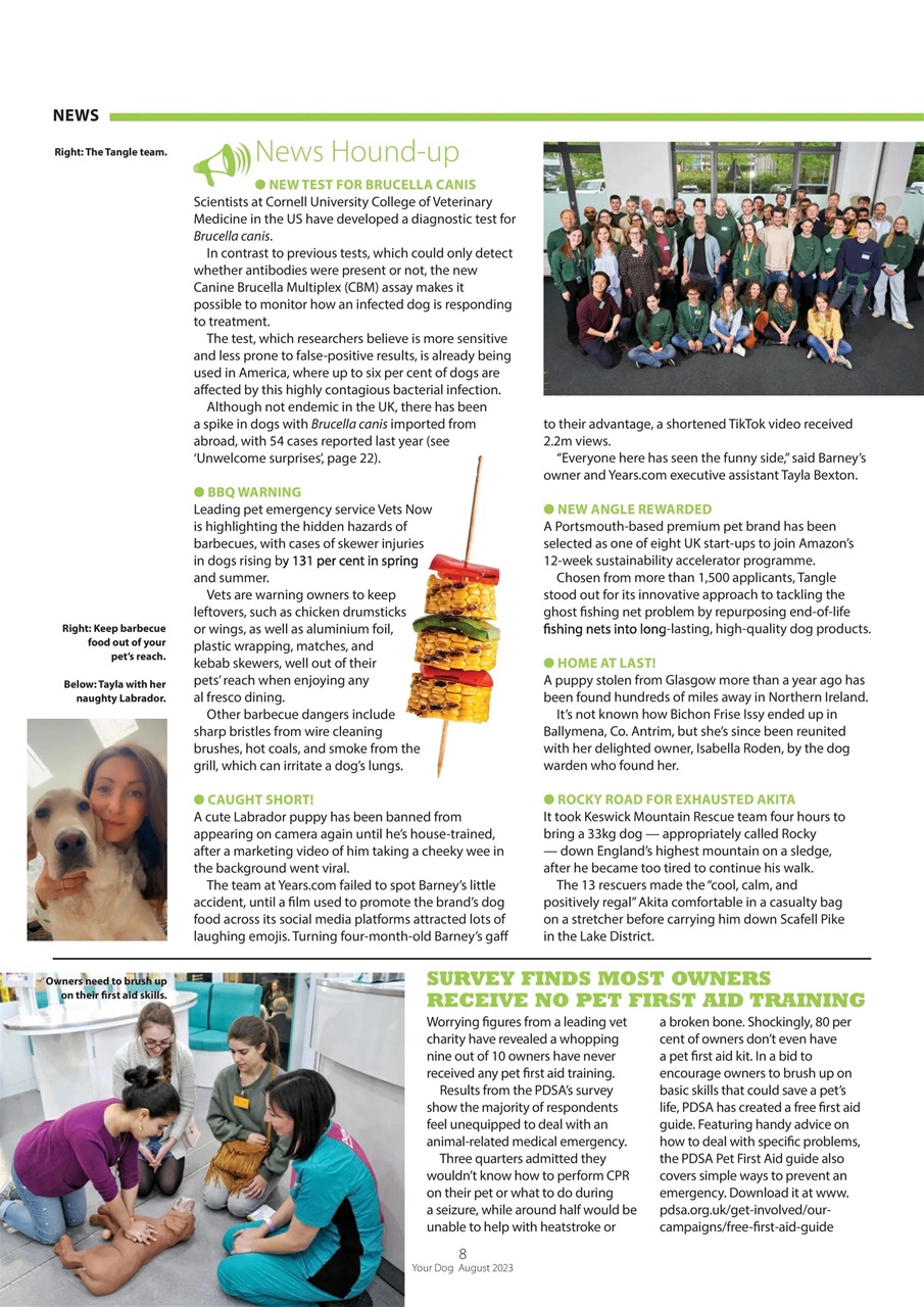 Your Dog Preview Pages