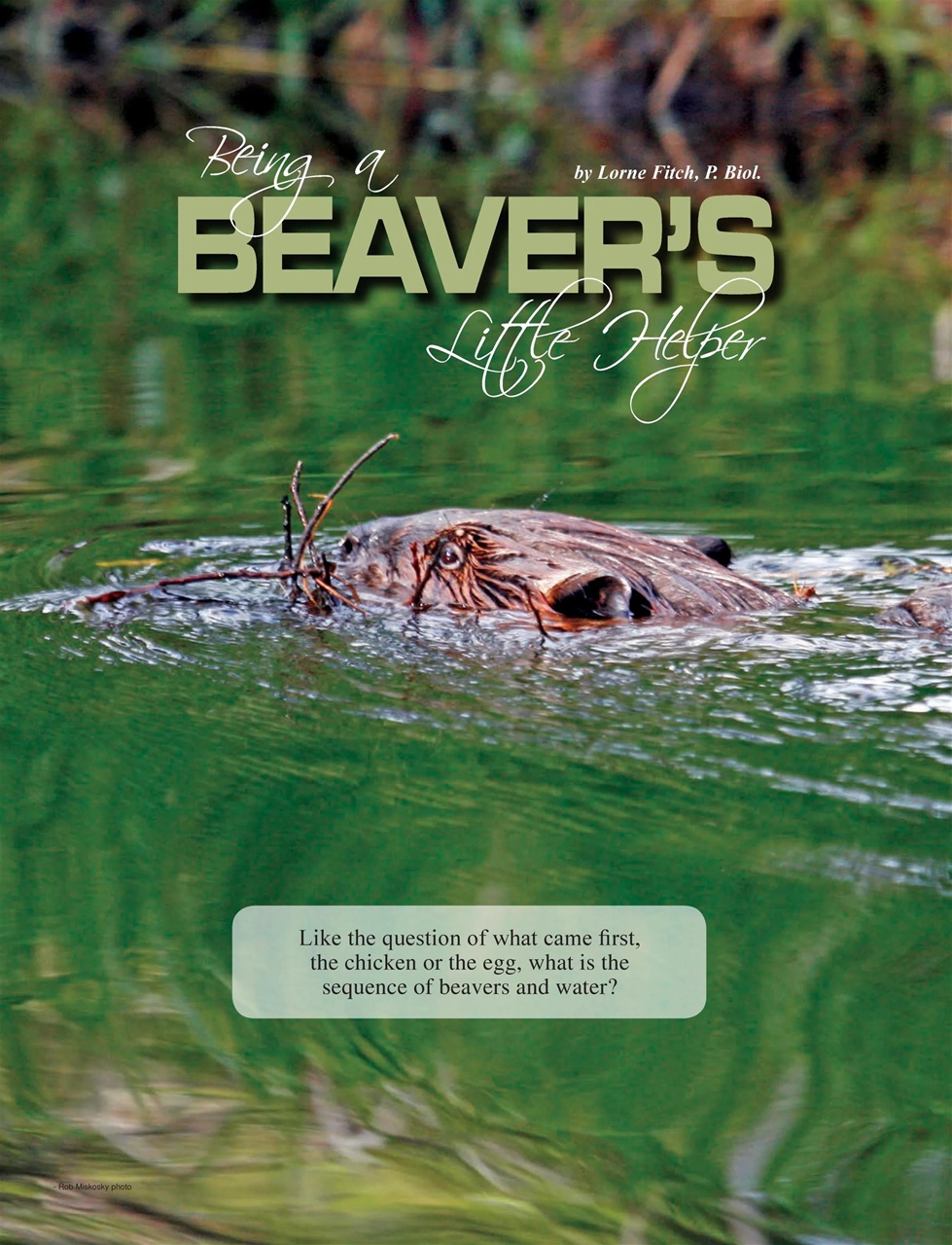Alberta Outdoors Preview Pages