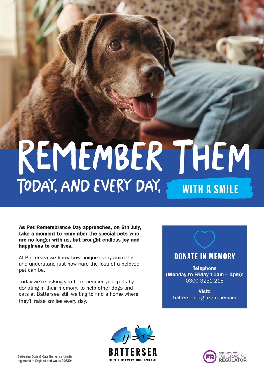 Dogs Today Magazine Preview Pages