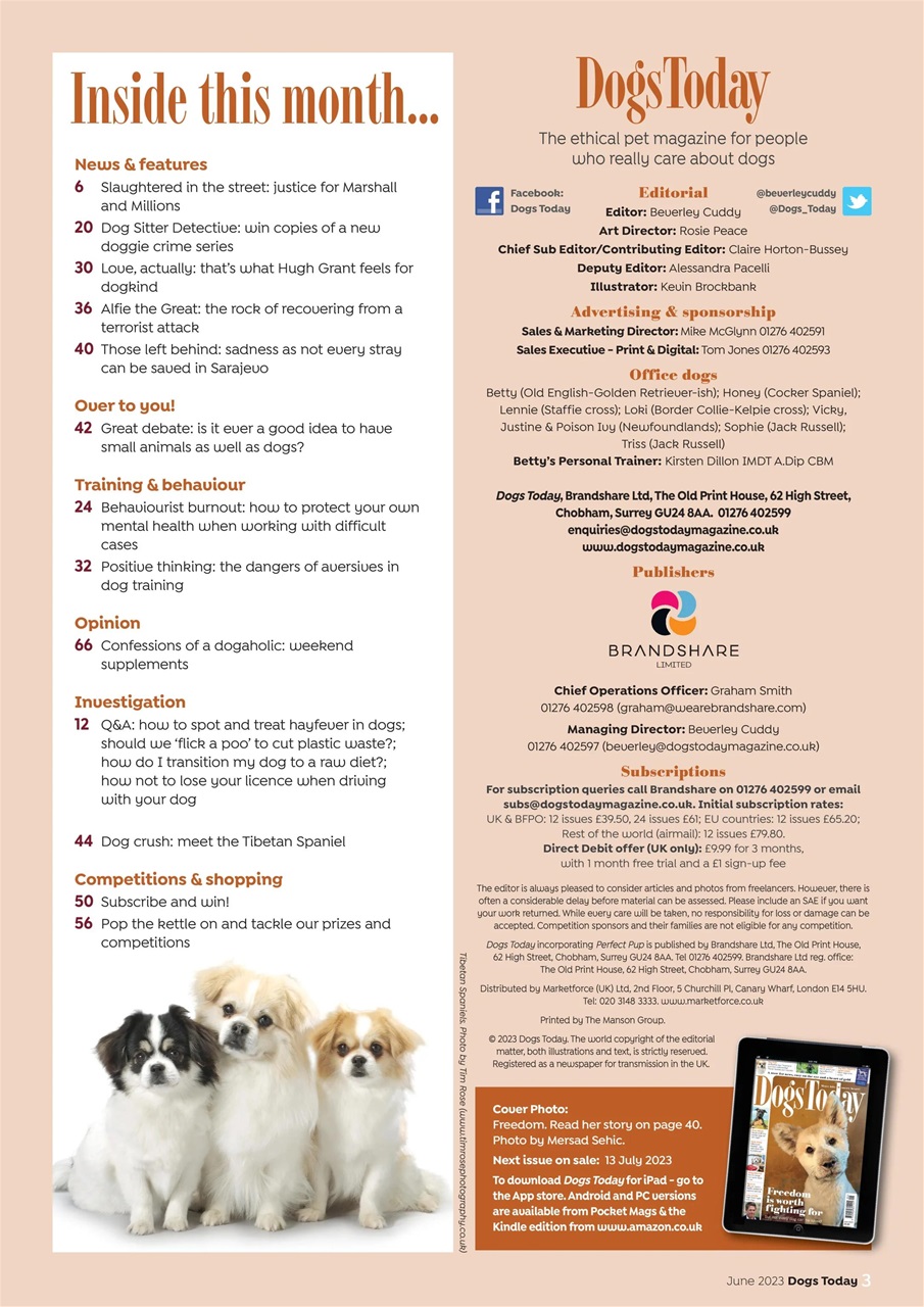 Dogs Today Magazine Preview Pages