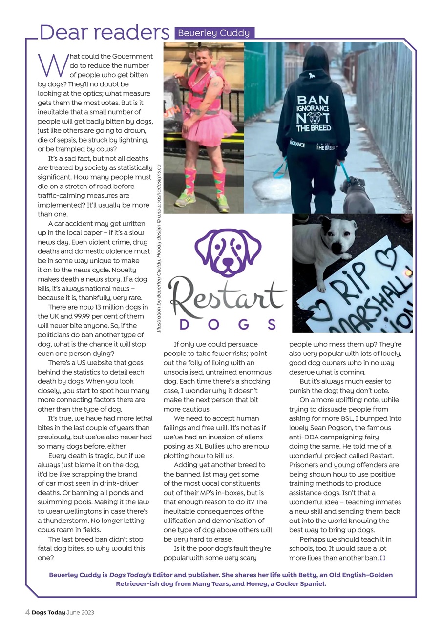Dogs Today Magazine Preview Pages