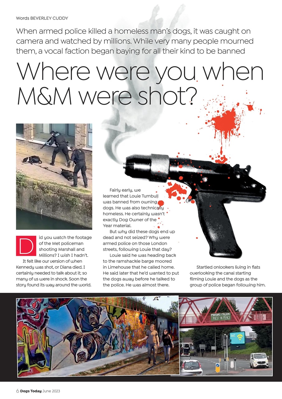 Dogs Today Magazine Preview Pages