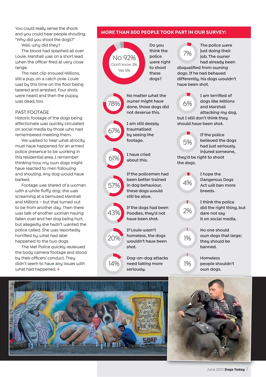 Dogs Today Magazine Preview Pages