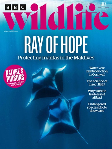 BBC Wildlife Magazine issue 