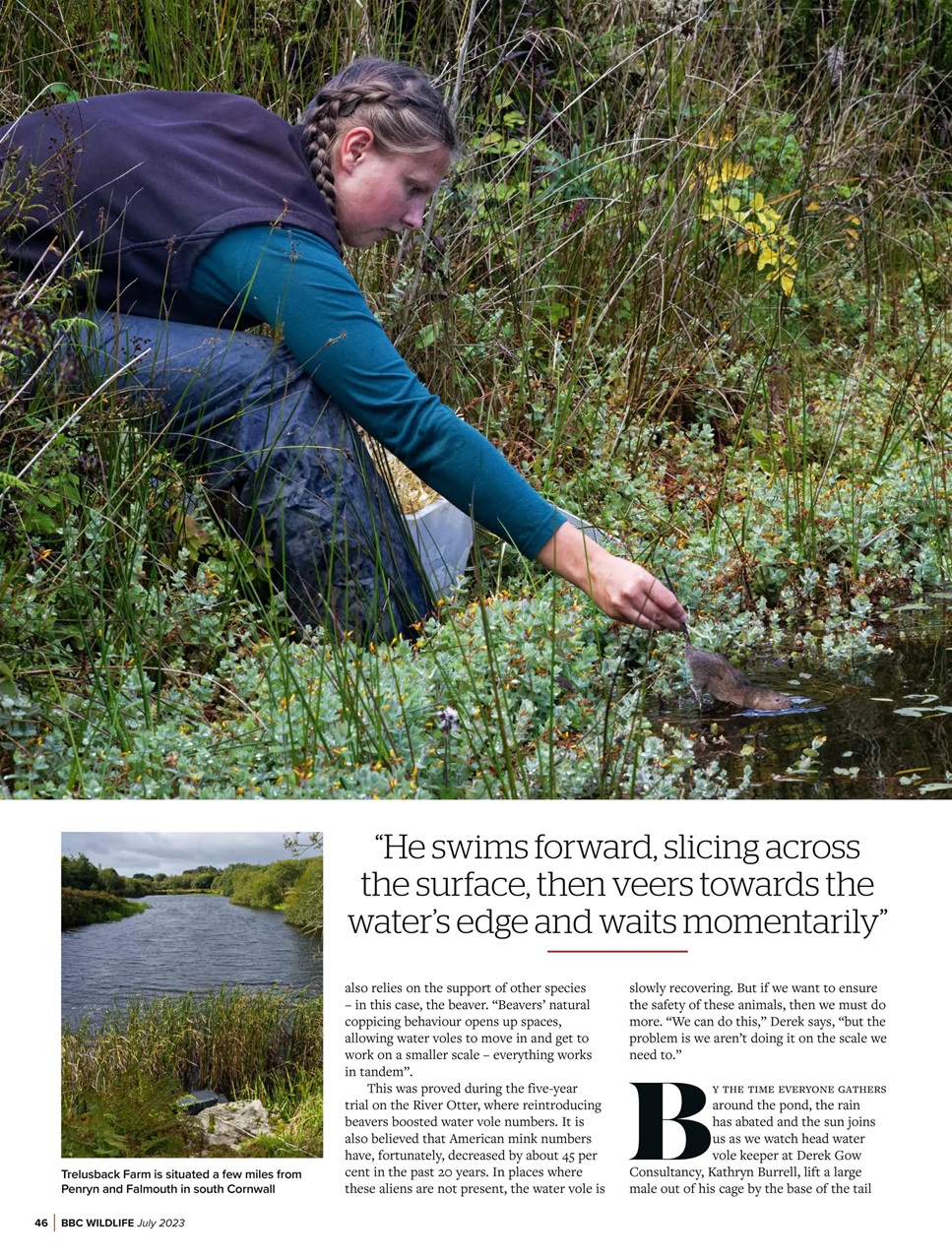 BBC Wildlife Magazine Preview Pages