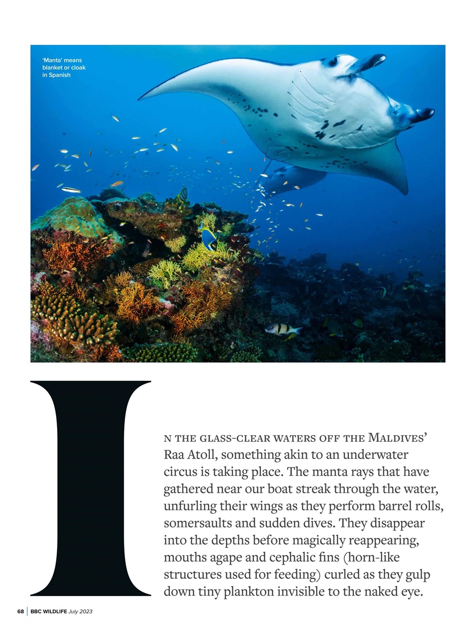 BBC Wildlife Magazine Preview Pages