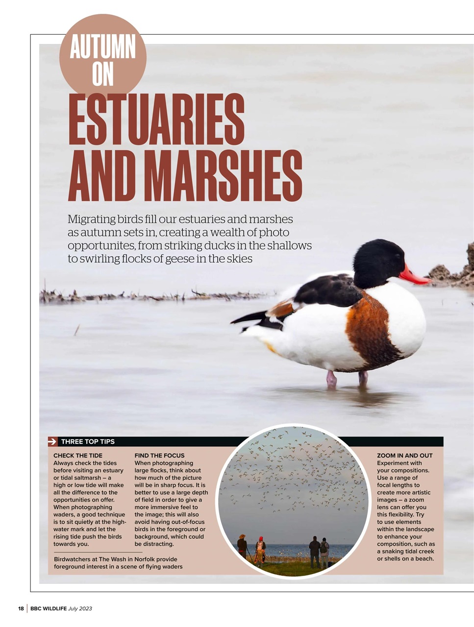 BBC Wildlife Magazine Preview Pages