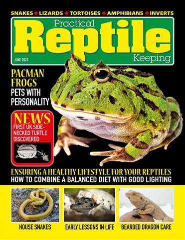 Practical Reptile Keeping issue June 2023