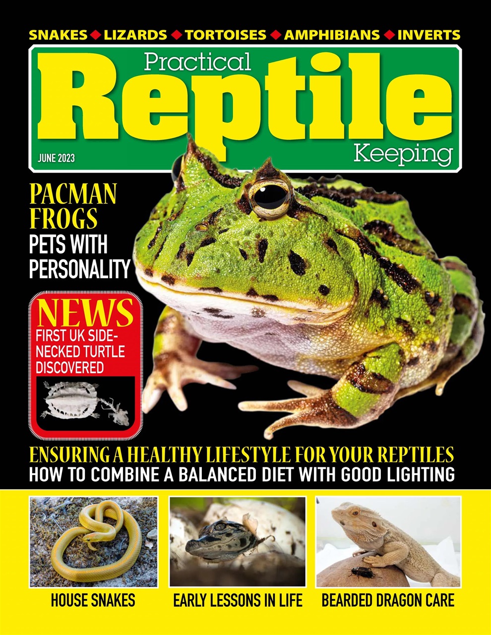 Practical Reptile Keeping Preview Pages