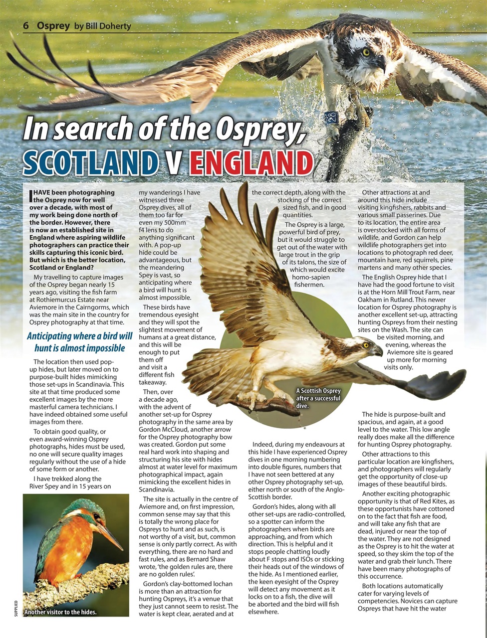 Countryman's Weekly Preview Pages