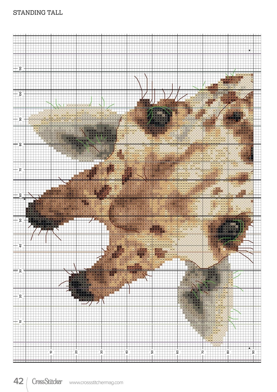 CrossStitcher Preview Pages