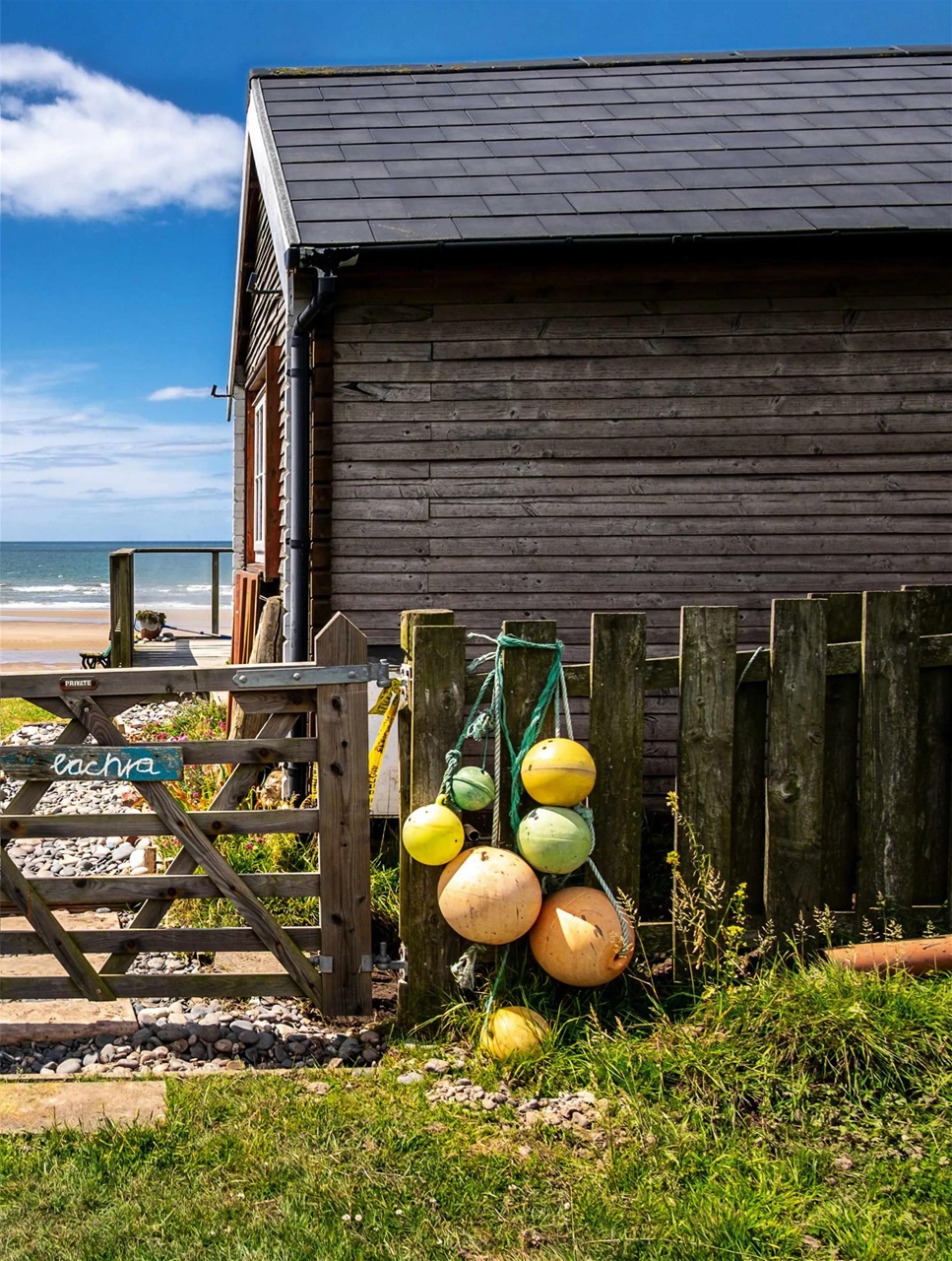 BBC Countryfile Magazine Preview Pages