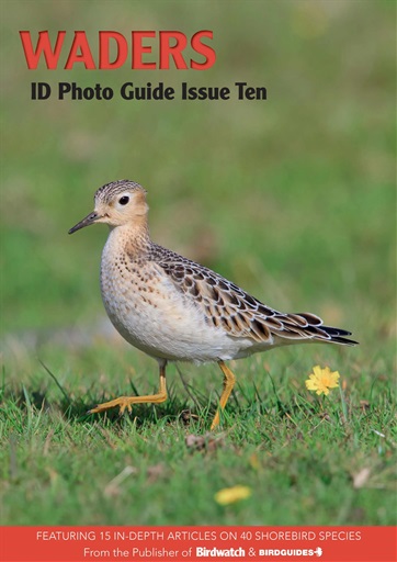 Bird ID Photo Guides issue 