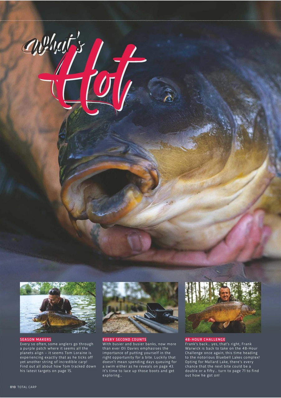 Total Carp Preview Pages
