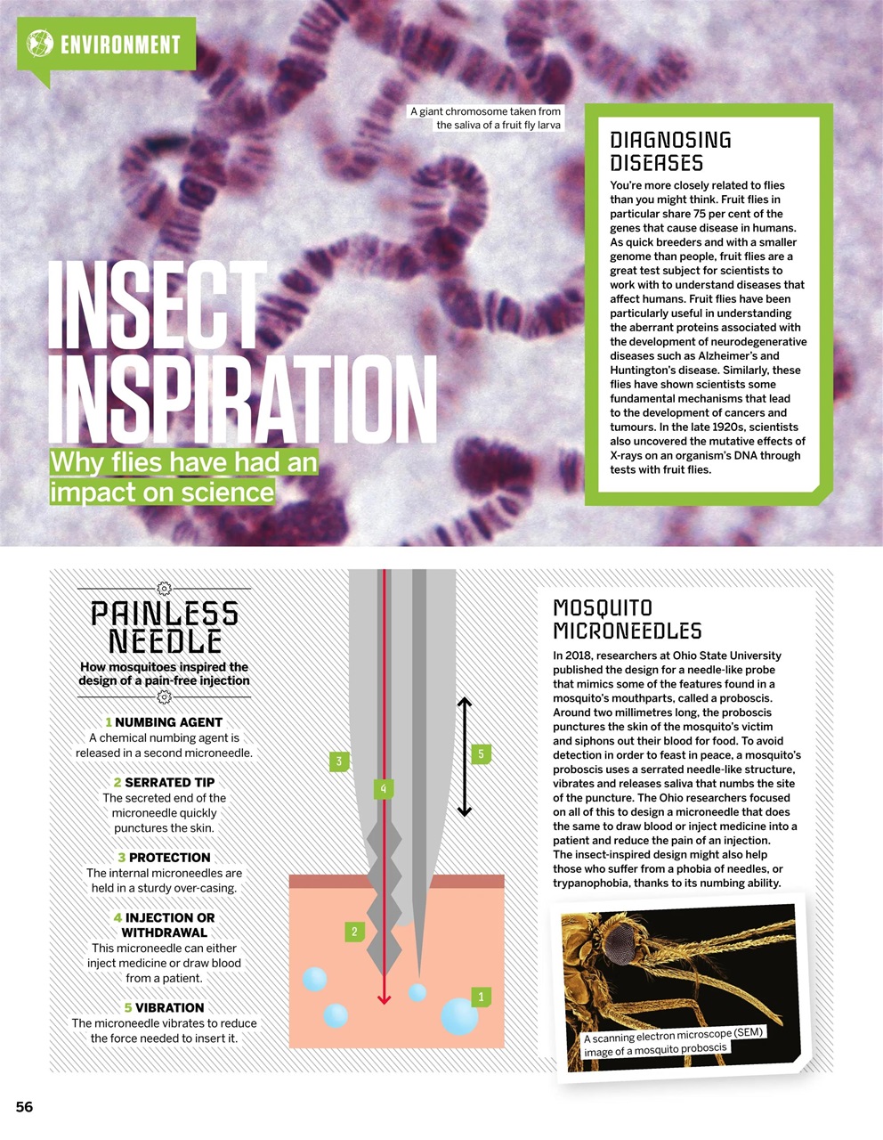 How It Works Preview Pages