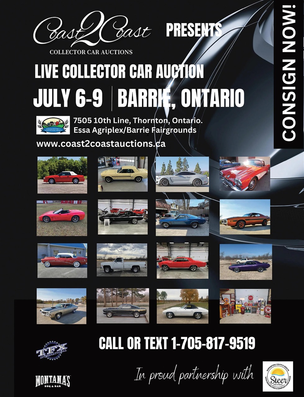 Muscle Cars Preview Pages