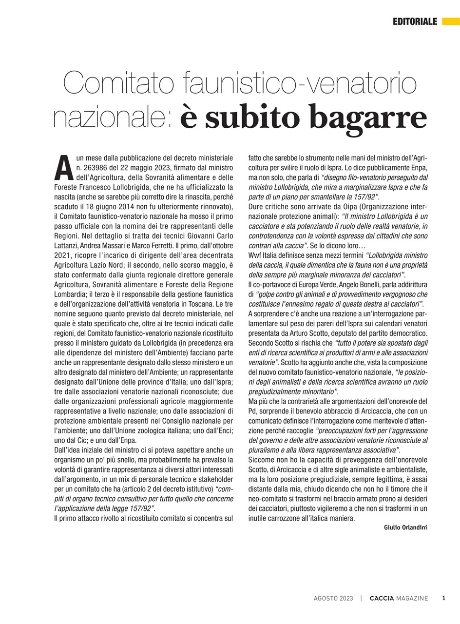 Caccia Magazine Preview Pages