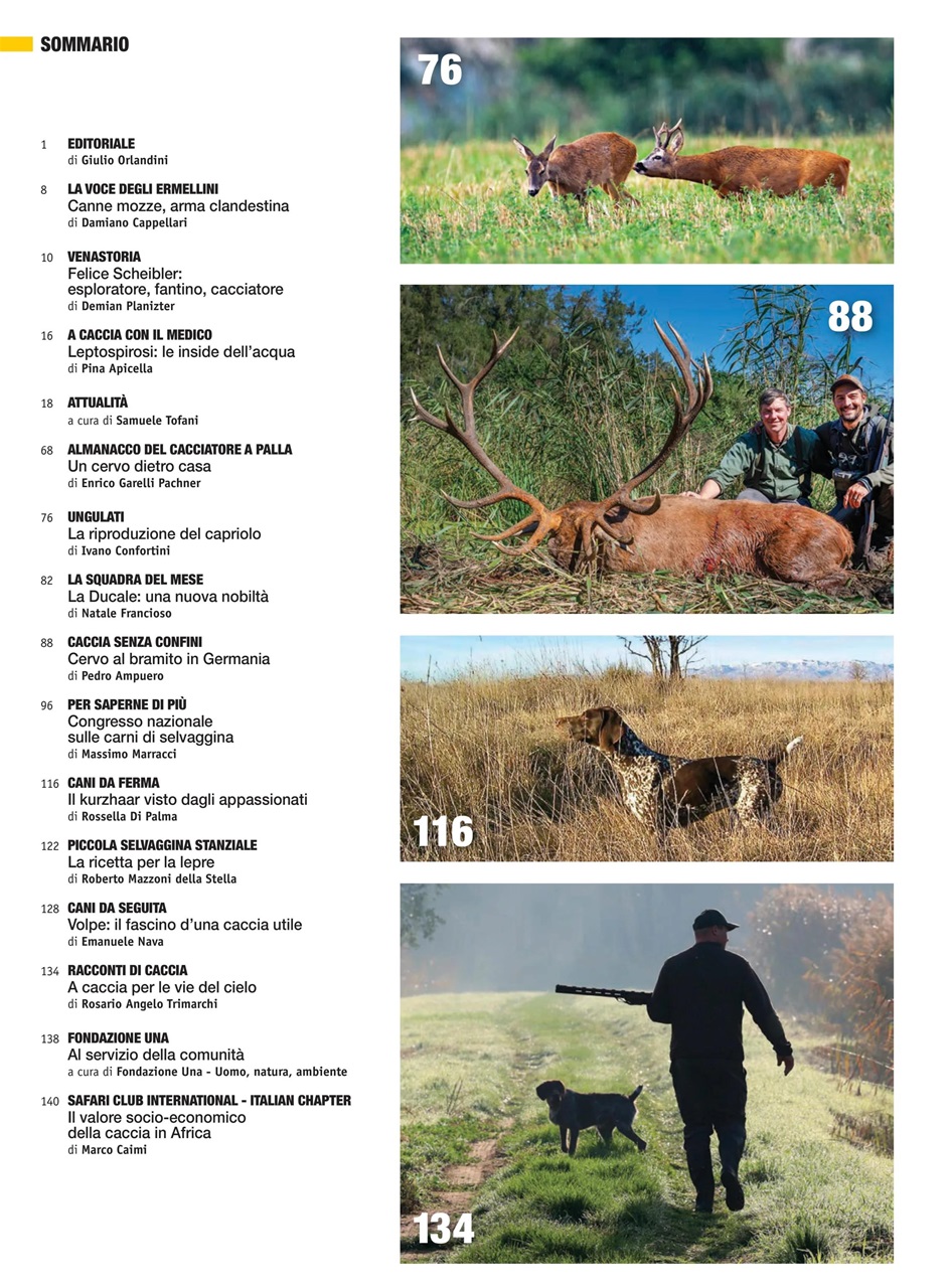 Caccia Magazine Preview Pages