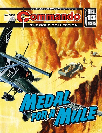 Commando issue 