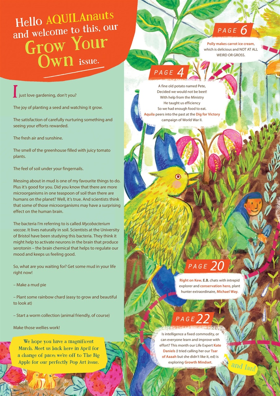 Aquila Preview Pages