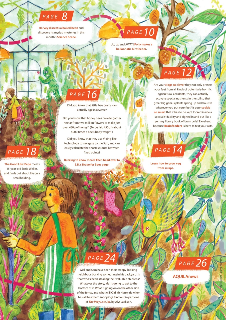 Aquila Preview Pages