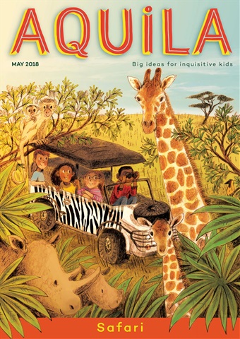 Aquila issue Safari